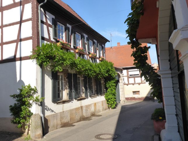 Weingut Langenwalter-Gauglitz Freinsheim