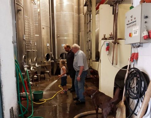 Die Winzerfamilie Langenwalter in Freisheim