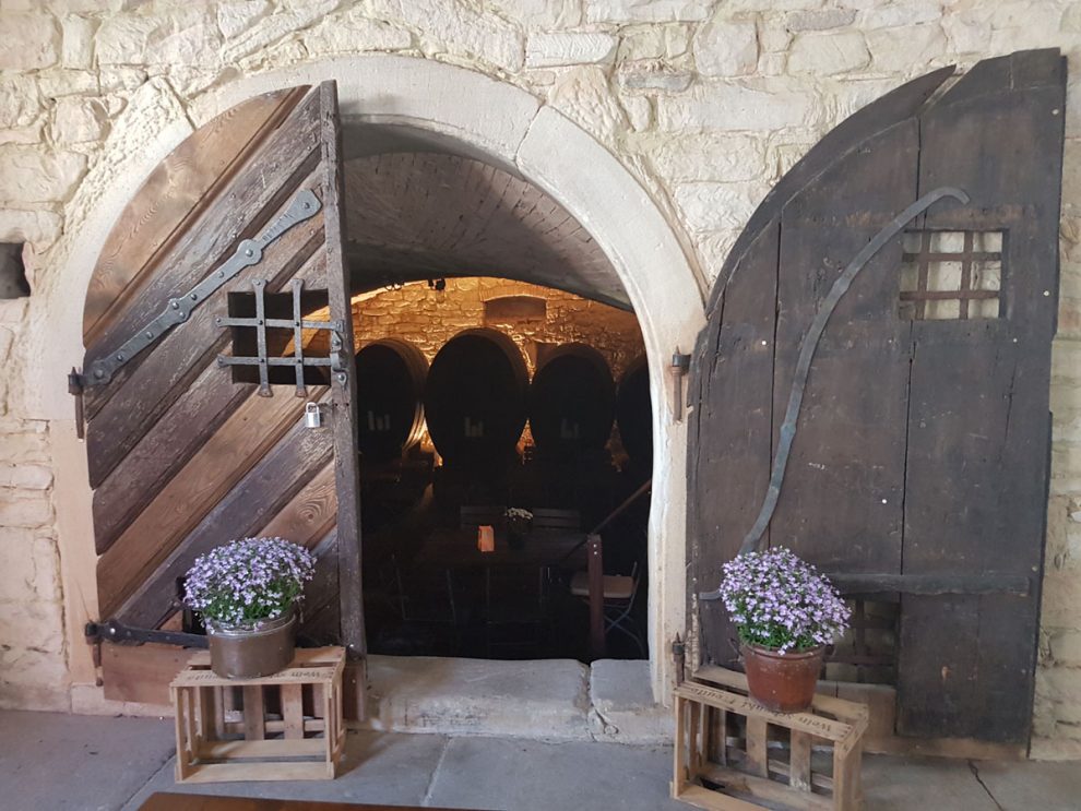 Blick auf den pfälzer Wein