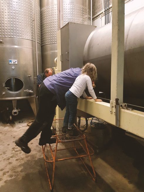 Im Weinkeller von Langenwalter-Gauglitz