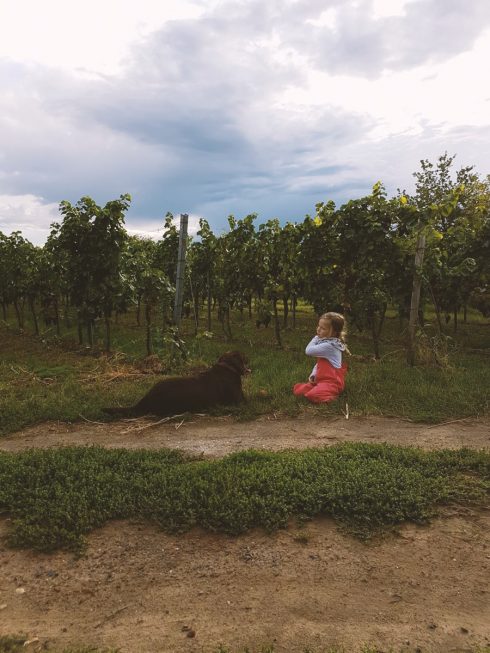 Die Winzerfamilie im Feld