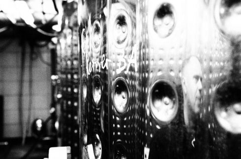 Die Winzerfamilie Langenwalter in Freisheim