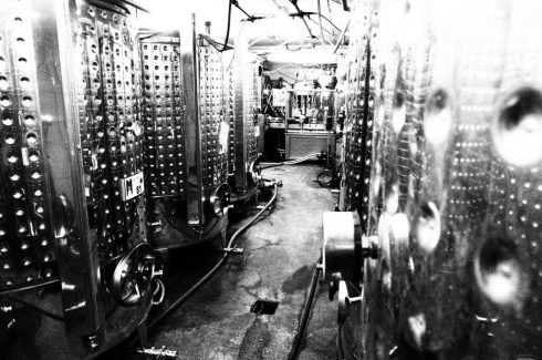 Die Winzerfamilie Langenwalter in Freisheim