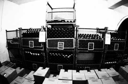 Die Winzerfamilie Langenwalter in Freisheim